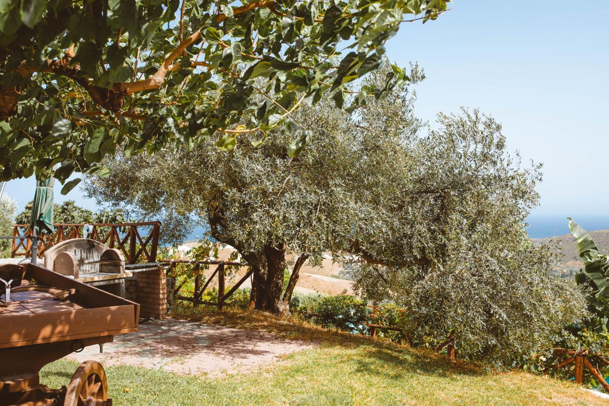 Calami - Villa Romeo - Private Apartments With Pool, Seaview & Olive Grove Santa Caterina Dello Ionio Marina Kültér fotó