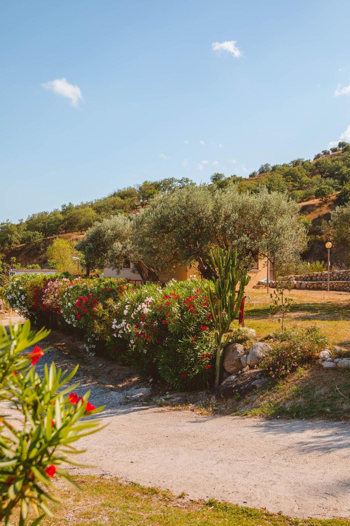 Calami - Villa Romeo - Private Apartments With Pool, Seaview & Olive Grove Santa Caterina Dello Ionio Marina Kültér fotó